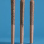 48North-Granddaddy-Purple-Pre-Rolls-Joints
