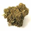 Acapulco Gold C annabis Strain