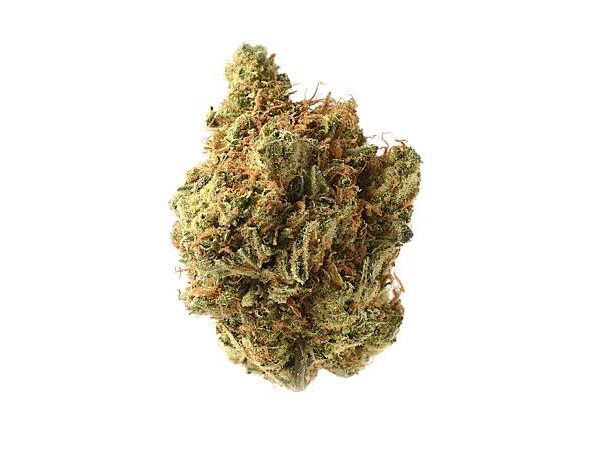 Buy Amnesia Haze Marijuana Strain UK