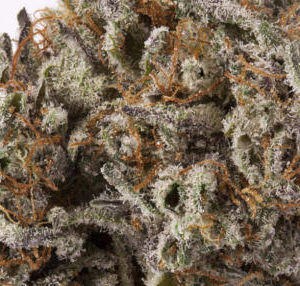 Buy Black Diamond Marijuana Strain