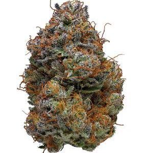 Buy BlackBerry Kush Marijuana Strain UK