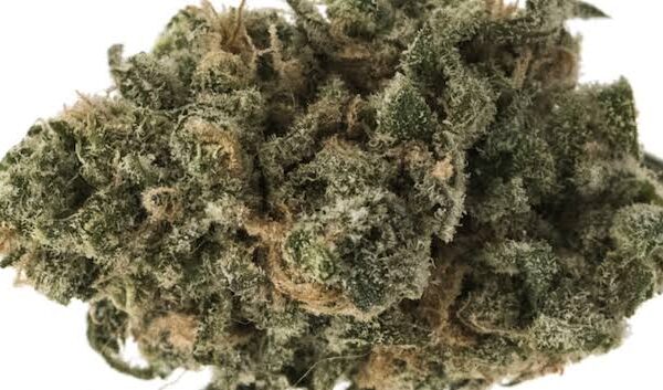 Buy Blue Widow Marijuana Strain UK