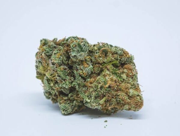 Buy Cinex Marijuana Strain UK