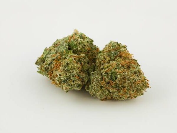 Buy Critical Kush Cannabis Strain