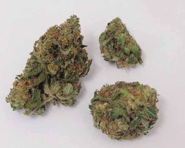 Buy Critical Mass Marijuana Strain