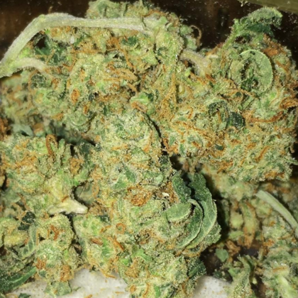 Buy Deadhead OG Marijuana Strain