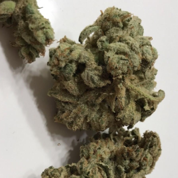 Buy GG4 Marijuana Strain UK