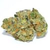 Buy Girls Scout Cookies Marijuana strains Buy Girls Scout Cookies Marijuana strains A well known strain of the marijuana strain. Generally, this is made of mixed indica Strain and the Sativa Strain. Has sharp small and dense buds which are slightly darker. As well it takes a great phenotypes of the Sativa and the indica. In green shades to the usual sativa strain is typical bright green. Small and dense buds with green shade. Slightly darker than the Sativa and Indica green variety. The red bristles are red but longer than usual. Making the buds seem mysterious from a distance. As such Buy Girls Scout Cookies Marijuana strains Buy Girls Scout Cookies Marijuana strains When smoking this strain. We expect a very earthy flavor. With hints of desserts and spices. It’s effects tend towards Sativa properties. Making it a mentally stimulating breed. With little body effects when smoking in small doses. The breed is great for social functions. Or creative activities – anything your brain needs to be active and shared. When consumed in larger quantities. Especially by novice users. Can raise stress anxiety and paranoia as with strong Sativa strains. You will usually want to try a blow. Or two before committing to a full joint. More so Buy Girls Scout Cookies Marijuana strains It is a relatively easy growing breed when weighed against other sativas. The weight actually accumulates towards the end of the growth cycle. As the buds begin to inhibit the tall thin frame of the plant. The returns can reach 2.5 oz per plant within the house. With external returns of up to 3 pounds per plant. Therefore Buy Girls Scout Cookies Marijuana strains-UK