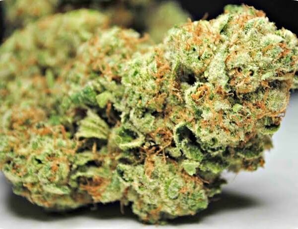 Buy God Bud Marijuana Strain UK