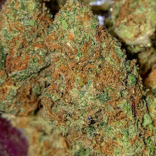 Buy-Golden-Goat-Marijuana-Strain-UK