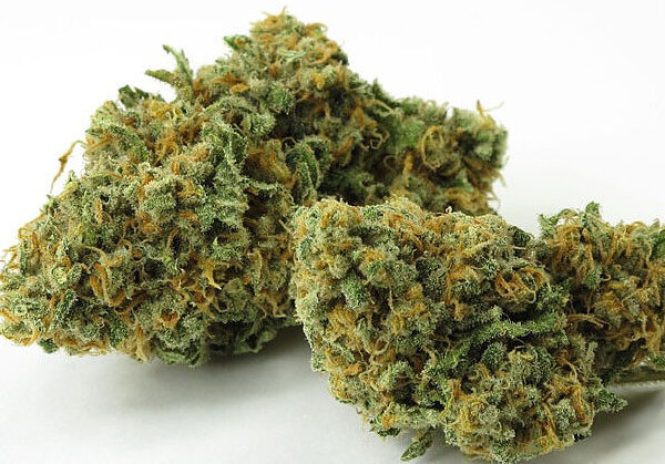 Buy Green Crack Marijuana Strain UK