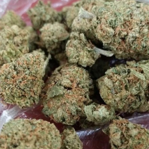 Buy Jedi Kush Marijuana Strain