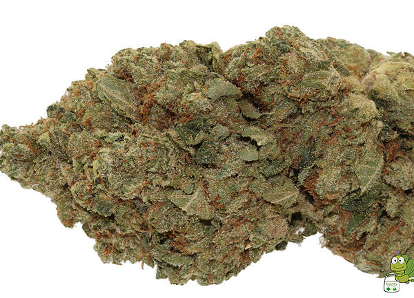 Buy King Louis XIII Marijuana Strain