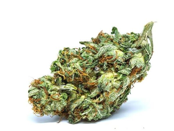 Buy Orange Kush Indica Strain