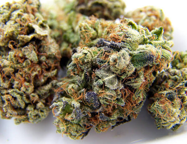 Buy Platinum Bubba Kush Marijuana Strain