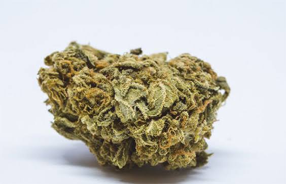 Buy Sunset Sherbet Cannabis Strain UK