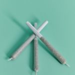 hash-plant-pre-roll