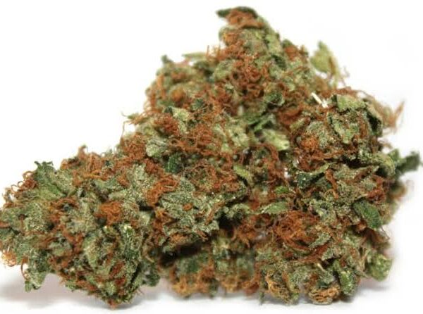 Mail Order Chemdawg Marijuana Strain UK