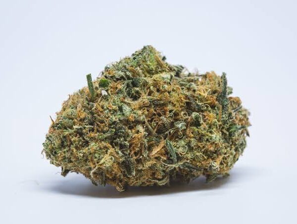 Mail Order NYC Diesel Marijuana Strain