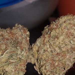 Super Silver Haze Marijuana Strain