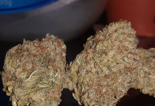 Super Silver Haze Marijuana Strain
