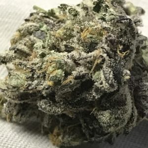 Magnificent Mile Cannabis Strain