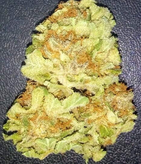 Trainwreck Weed Strain UK