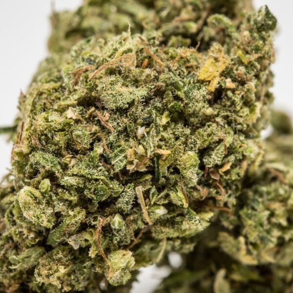 Three Blue Kings Marijuana Strain