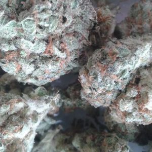 Magnificent Mile Marijuana Strain