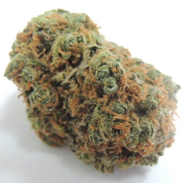 Bob Marley Marijuana Strain