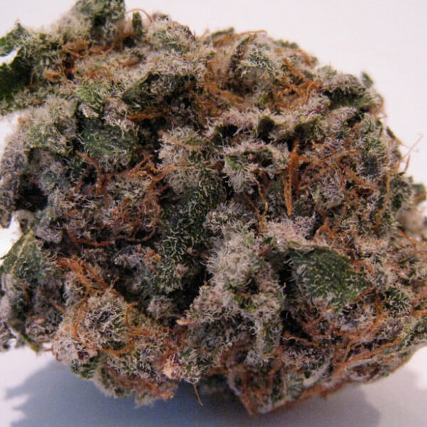 Blackberry Marijuana Strain UK