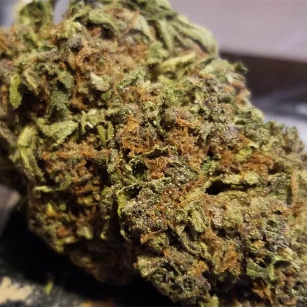 Dark Star Marijuana Strain