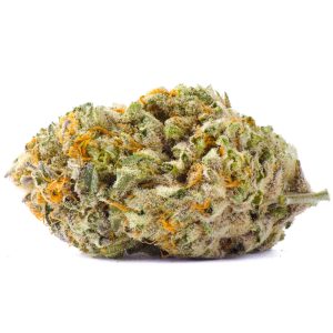 King Tut Cannabis Strain