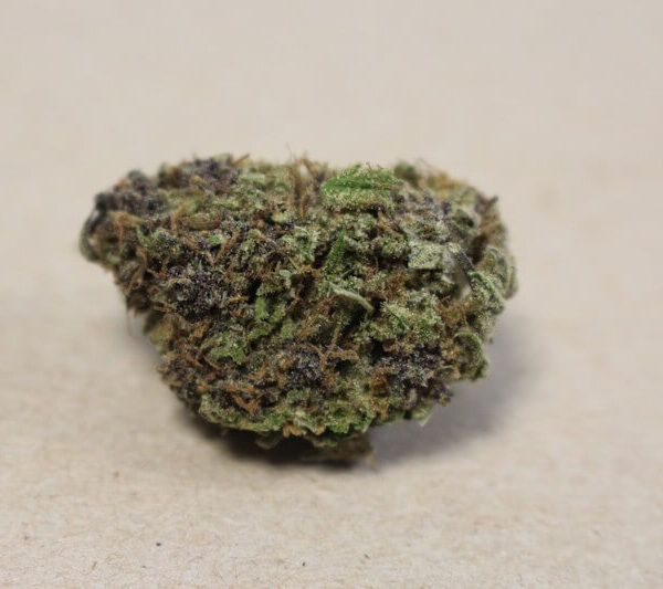 Dr. Grinspoon Cannabis Strain