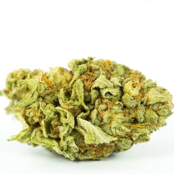 Blueberry Cough Marijuana Strain