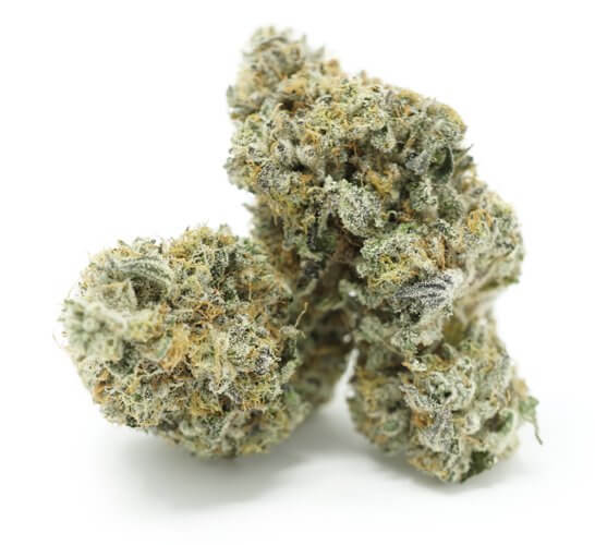 Chocolate OG Marijuana Strain UK