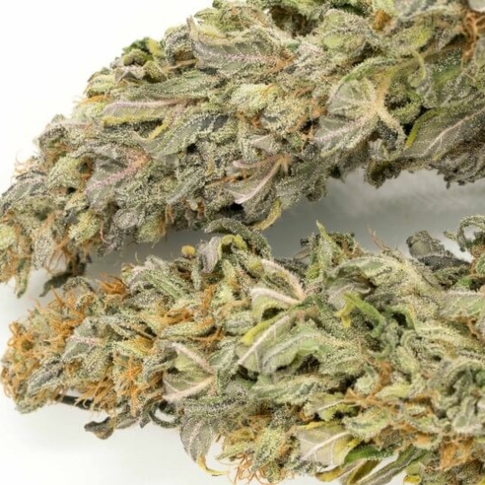 Zambian Copper Cannabis Strain