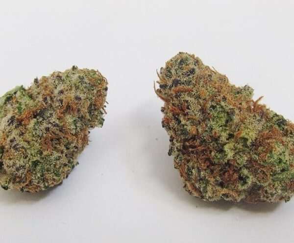 Cream Mandarin Marijuana Strain UK