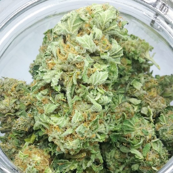 Alien Blues Weed Strain