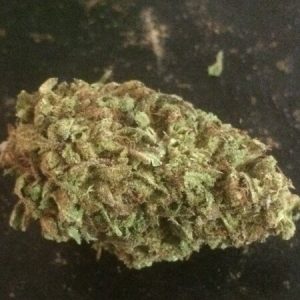 Elephant Stomper Marijuana Strain
