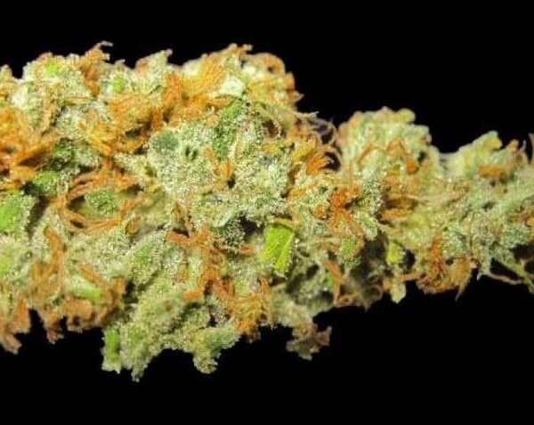 Hawaiian Sativa Marijuana Strain UK