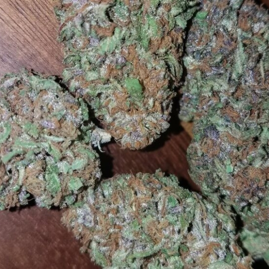 Afghani Hindu Kush Strain UK