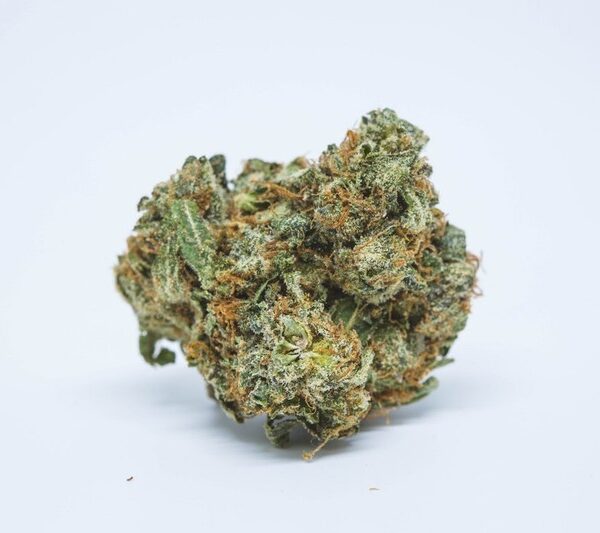 Alien Kush Marijuana Strain