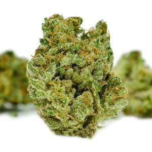 Buy Sheila Cannabis Strai