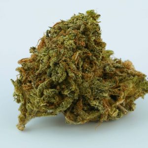 Black Domina Marijuana Strain