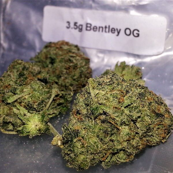 Bentley OG Marijuana Strain UK