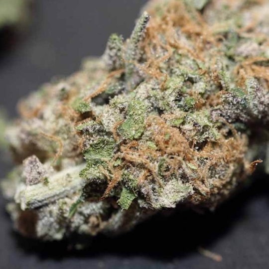 Super Grand Daddy Purple Strain