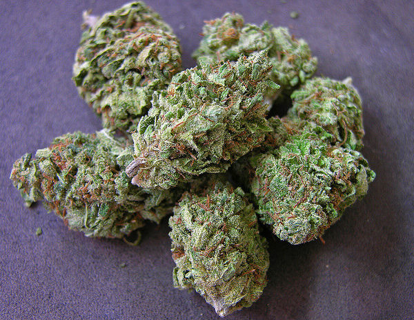 Pineapple Thai Marijuana Strain