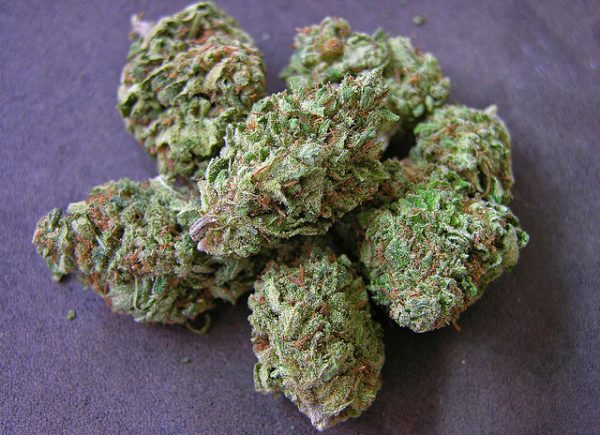 Pineapple Thai Marijuana Strain
