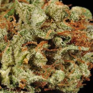 Juicy Wreck Cannabis Strain